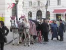 PICTURES/Vienna -  Walking Around Town/t_Horse Carriages2.jpg